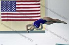 Swimming & Diving vs RWU  Swimming & Diving vs Roger Williams University. - Photo by Keith Nordstrom : Wheaton, Swimming